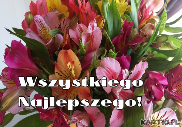 wszystkiego_najlepszego_298.jpg